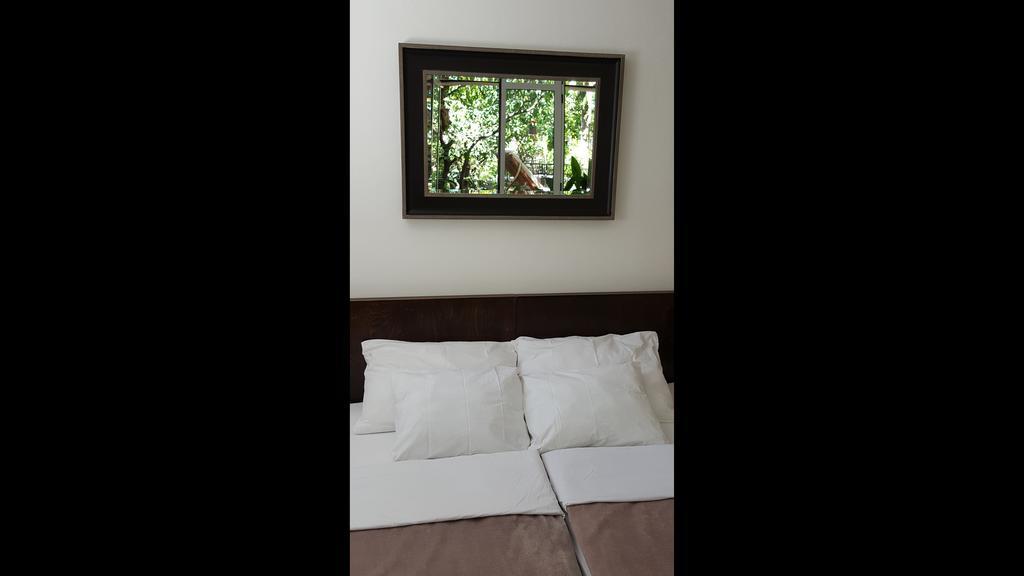 Turtle Apartments Dubrovnik Szoba fotó